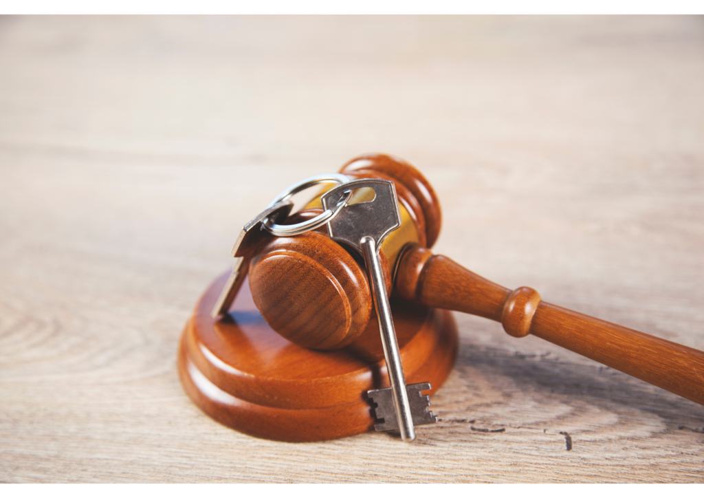 recuperatuvivienda.cl-fotografia-ley-devuelveme-mi-casa-chile